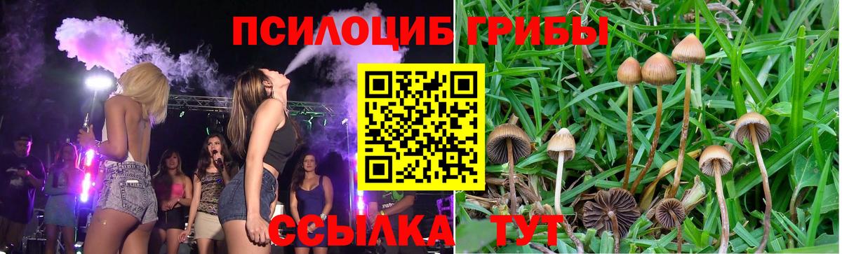 Кудрово  Галлюциногенные грибы Magic Shrooms  Галлюциногенные грибы Magic Shrooms  Вход с VPN 